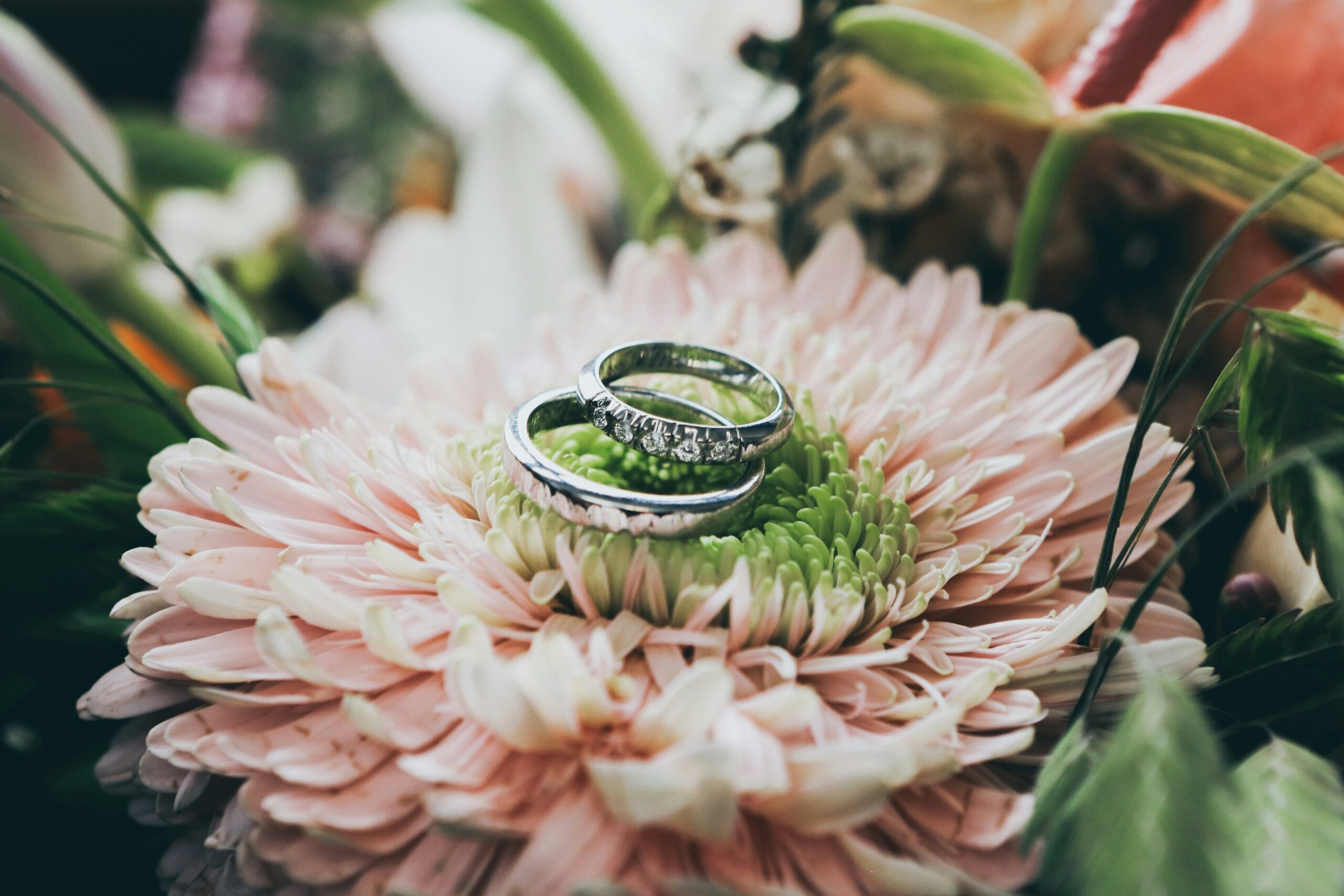 wedding insurance